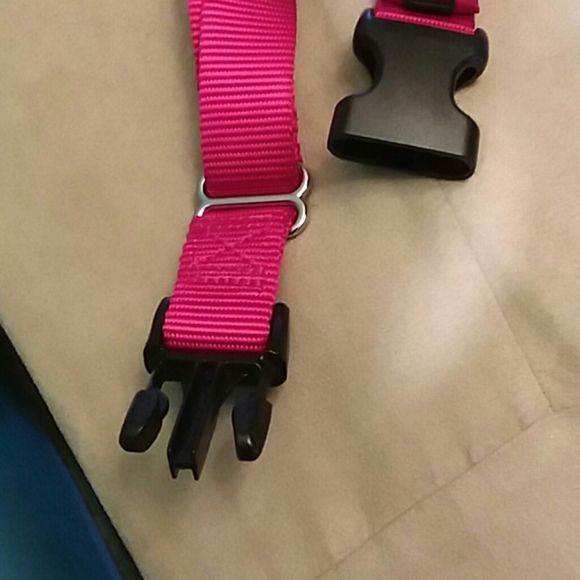 Large Pet Collar - Picture 2 of 7